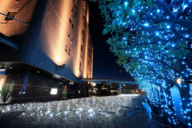 HOTEL CHERENA 外観